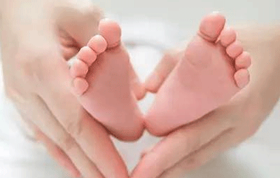 ���������̼Ҷ�