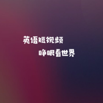 海鸥看世界 海鸥看世界