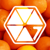 ƴ�����ŵ��v1.3 ��׿��