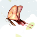 ���ɷ���v1.5.7 ��׿��