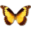 ǰ��������appv1.0 ��׿��