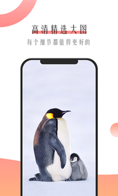 ���ֱ�ֽappv1.0.3 ���°�