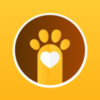 ��С��Appv1.1.0 ��׿��