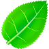 ����ֲ���ȫappv1.6.4 ��׿��