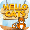Hello Catsv1.0.1 ��׿��