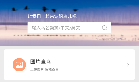 爱鸟 爱鸟