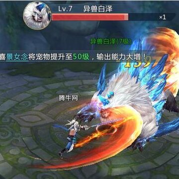 九仙传记 九仙传记