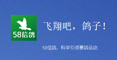 58�Ÿ�app