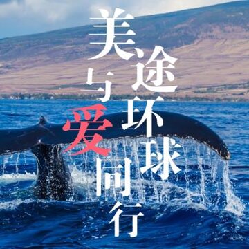 美途环球 美途环球