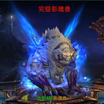 挂在艾泽拉斯 挂在艾泽拉斯