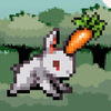 Bunny Jump����v1.0 ��׿��