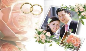 Love Wedding Photo����������v2.0.8 ��׿��