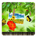 Nature Photo Frames Free��Ȼ���appv1.1 ��׿��