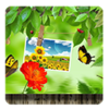 Nature Photo Frames Free��Ȼ���appv1.1 ��׿��
