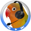���临����appv1.33 ���°�