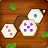 Number Puzzle Hexa(��������ƴͼ)v1.0.9 ��׿��