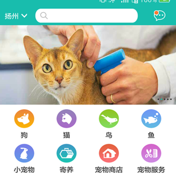 �趼��