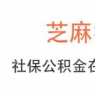 ֥���籣