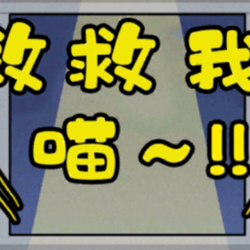谁来救救我喵 谁来救救我喵