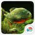 3Dʳ����-����̬��ֽv1.4.9 ��׿��