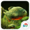 3Dʳ����-����̬��ֽv1.4.9 ��׿��