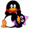 Q��Q�ö�̬����v1.0 ��׿��