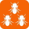 ���Ͻӵ�appv1.0.5 ���°�