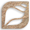��о�appv1.4 ���°�