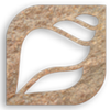 ��о�appv1.4 ���°�