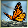 Season Zen Free��ɫ���ڶ�̬����v1.5 ��׿��