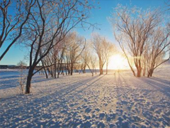 ��ѩ���΢�Ÿ���ǩ��Ψ������ 2019������ѩ������ǩ����ȫ