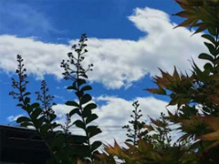 12������簲��־˵˵��ȫ 2018ʮһ���ټ�ʮ�������������˵˵