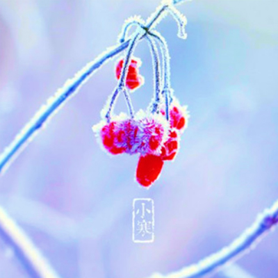 2019����С������ͼƬ��ȫ С����������ͼƬ���ºÿ�