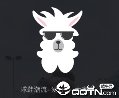 ��Ʒ����app