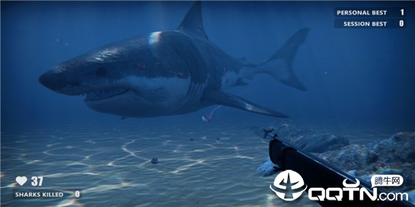 ����ˮ��(Death in the Water)