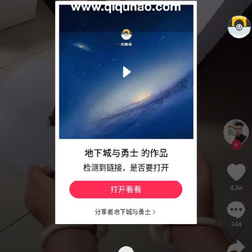 挖掘者 挖掘者