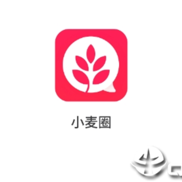 小麦圈 小麦圈
