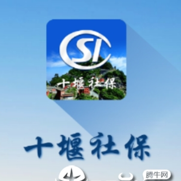 ʮ���籣app