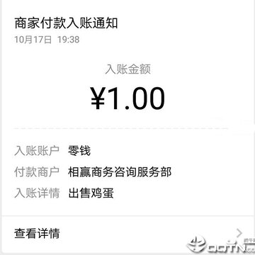 鸡之家app 鸡之家app
