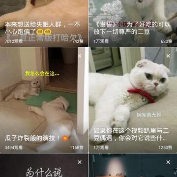 香草视频app 香草视频app