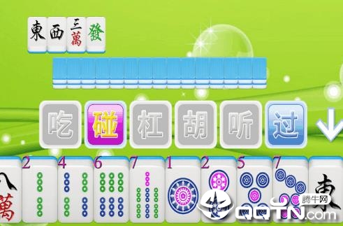 ȫ�������齫