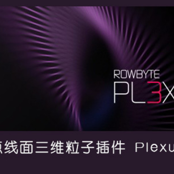 AE��ά���Ӳ��(Plexus) 
