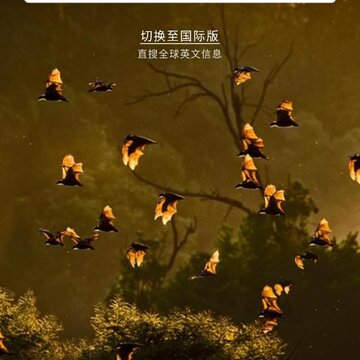 蓝光浏览器app 蓝光浏览器app