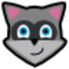 ���apk������Raccoonv4.10.0 �ٷ���