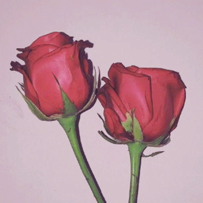 2019�˸�˵˵�������۵Ķ��� ��Ҳû�д�ֻ�ǲ�����