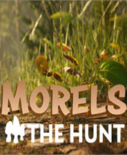 ��Ǿ�����Morels: The Hunt���������ⰲװ��