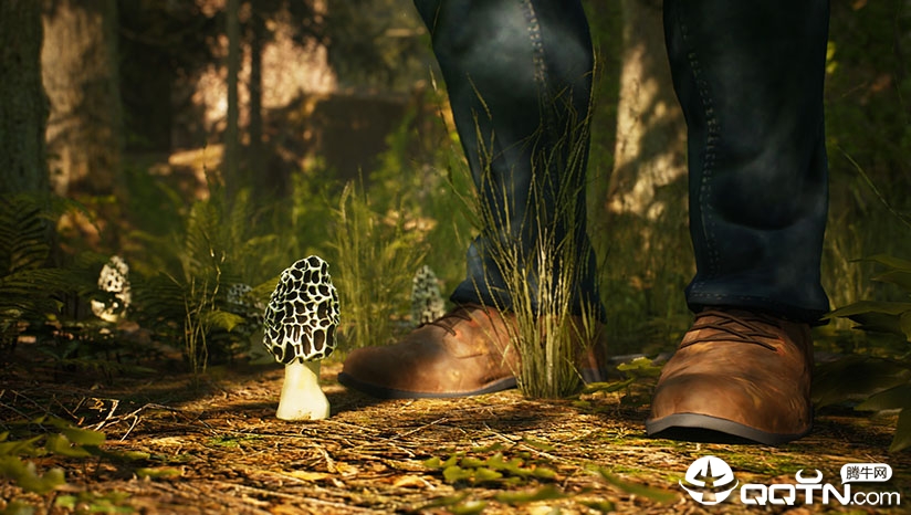 ��Ǿ�����Morels: The Hunt���������ⰲװ��