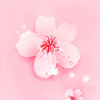 �һ��㳡App����v3.0.0 ��׿��