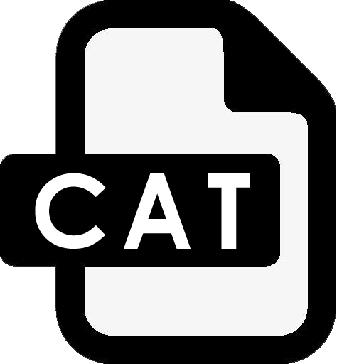 CAT文件