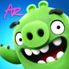 Angry Birds(��ŭ��С��ar)v1.1.2.57453 ��׿��